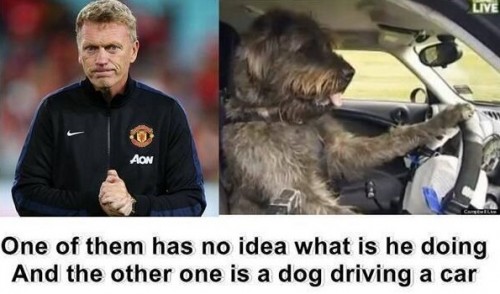 Best Moyes meme